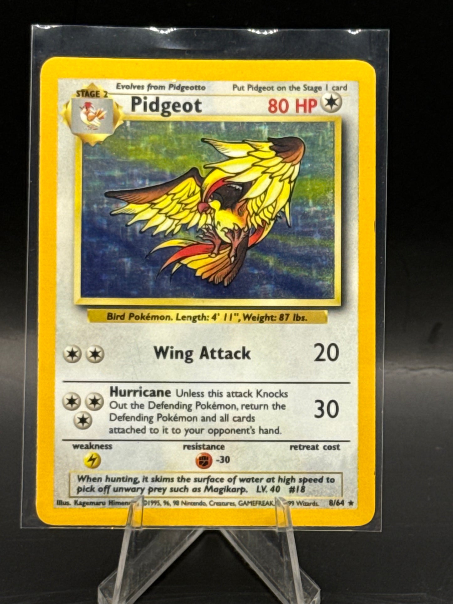 Pidgeot Jungle Error Holo 8/64 L/P+