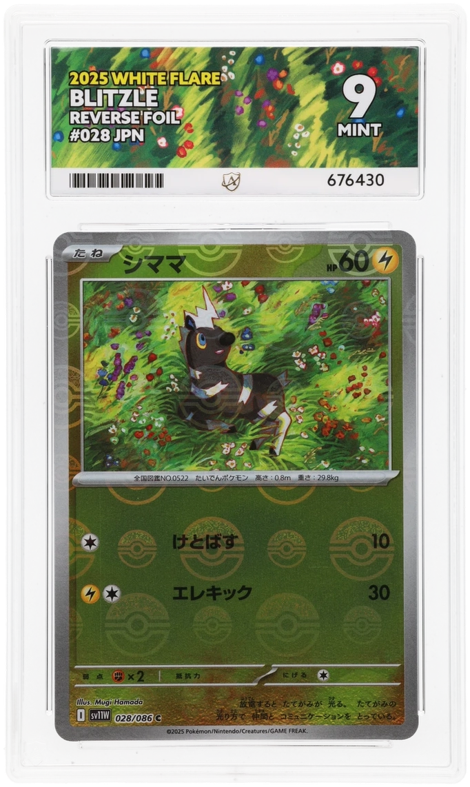 Pokemon ACE Mint 9 Japanese Blitzle Reverse 028/086