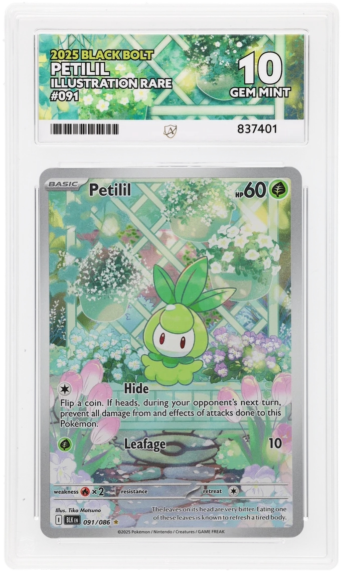 Pokemon ACE GEM Mint Perfect 10 Petilil 091/086