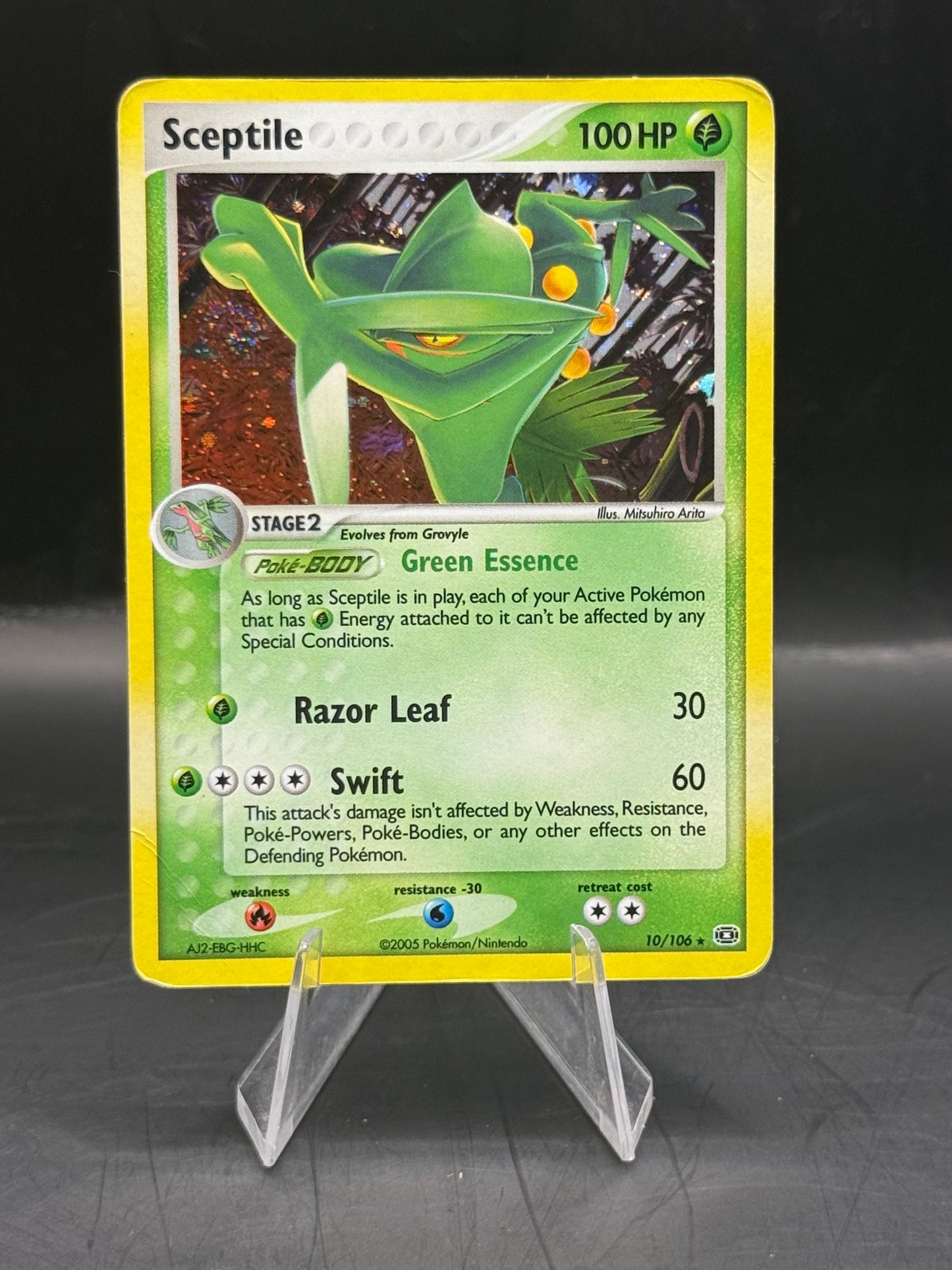 Pokemon Sceptile Holo 10/106 With Swil L/P