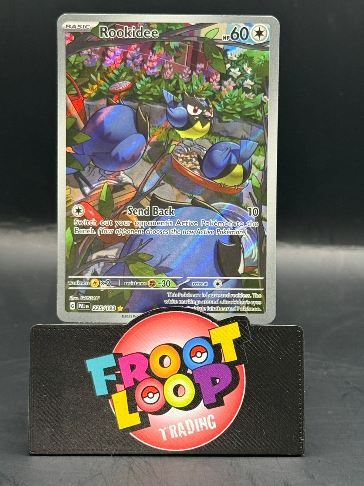 Pokemon Rookidee 225/193 (N/M)